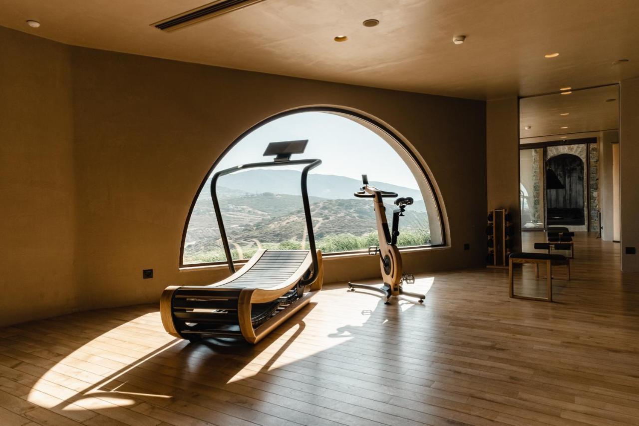 Acro - A Wellbeing (adults Only) Hotel Agia Pelagia (Kreta)